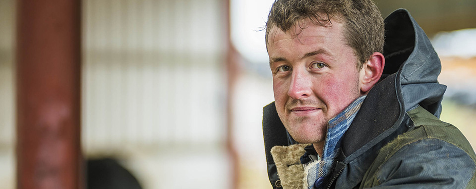 dairy industry farmers agripreneurs uk