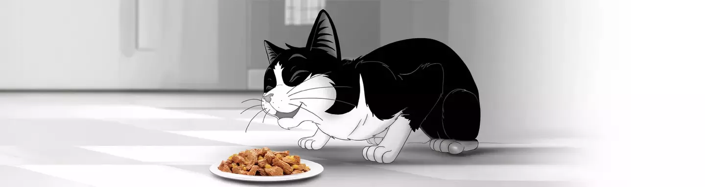 Felix header