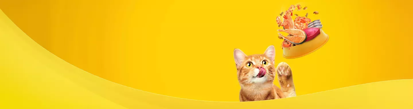 Friskies Header