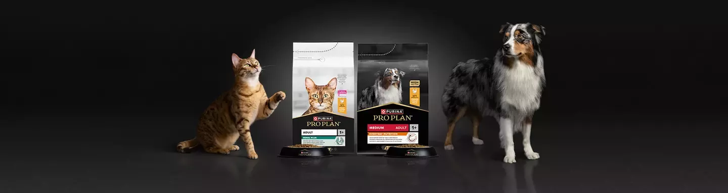 ProPlan Header