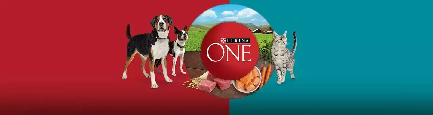 Purina One Header