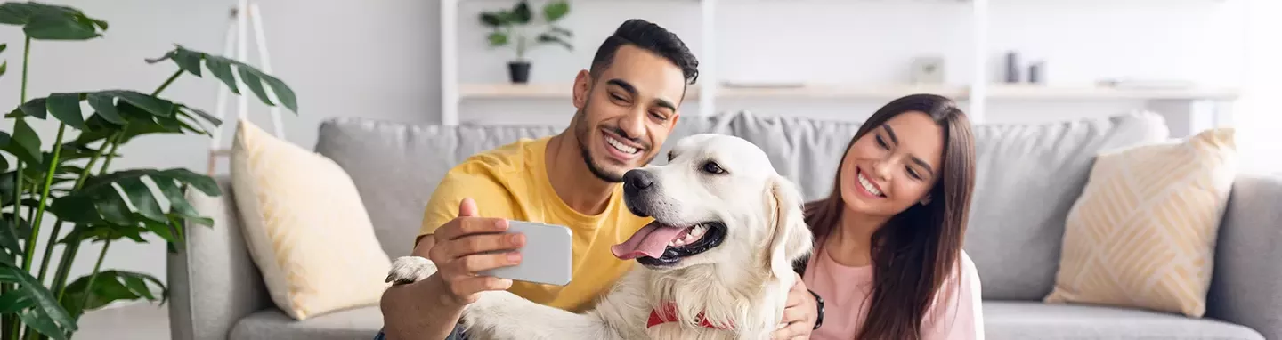 purina top banner