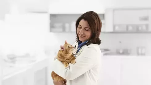 PPVS Cat Side Image