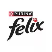 Felix Logo