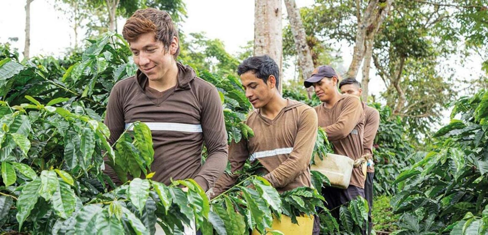 Helping coffee communities thrive