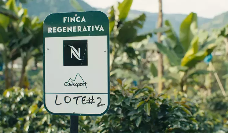 Coffee Farm