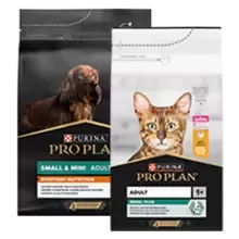 PP Packshot