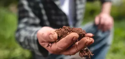 Regenerative Agriculture