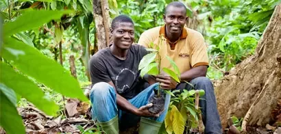 Nestlé sets out actions to address child labour in response to Fair Labor Association report on the company’s cocoa supply chain