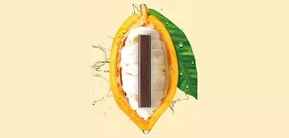 kitkat cocoa pulp feed