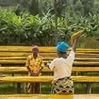 Nespresso Origins Farmer