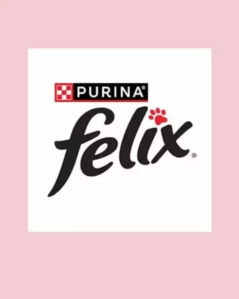 felix-history-1998