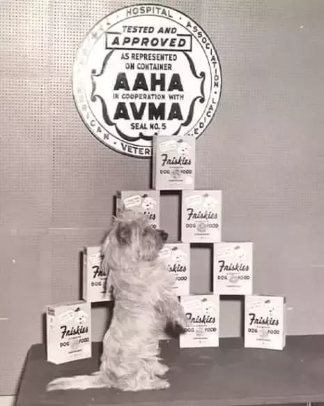 friskies-history-1934