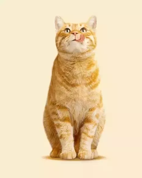 friskies-history-2008