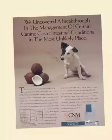 ppvd history 1994