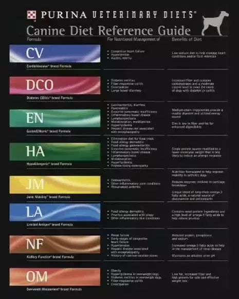 ppvd history 2000