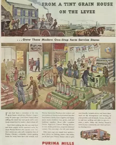 purina-history-1894