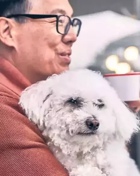 purina-history-today