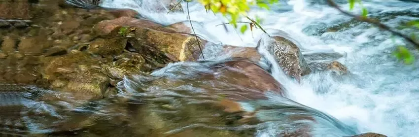 Water is life
