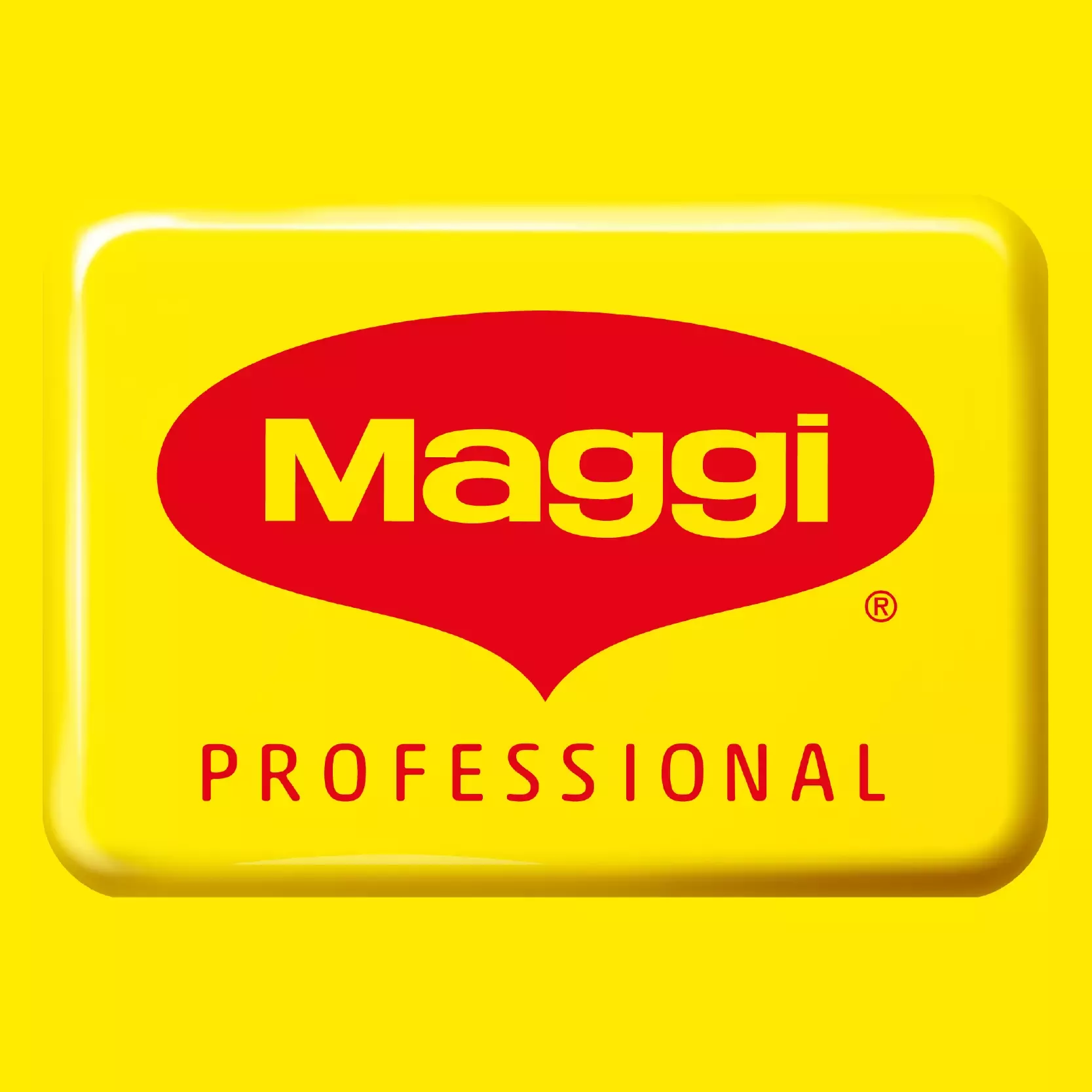 Maggi professional