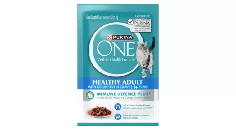 Wet Cat Food