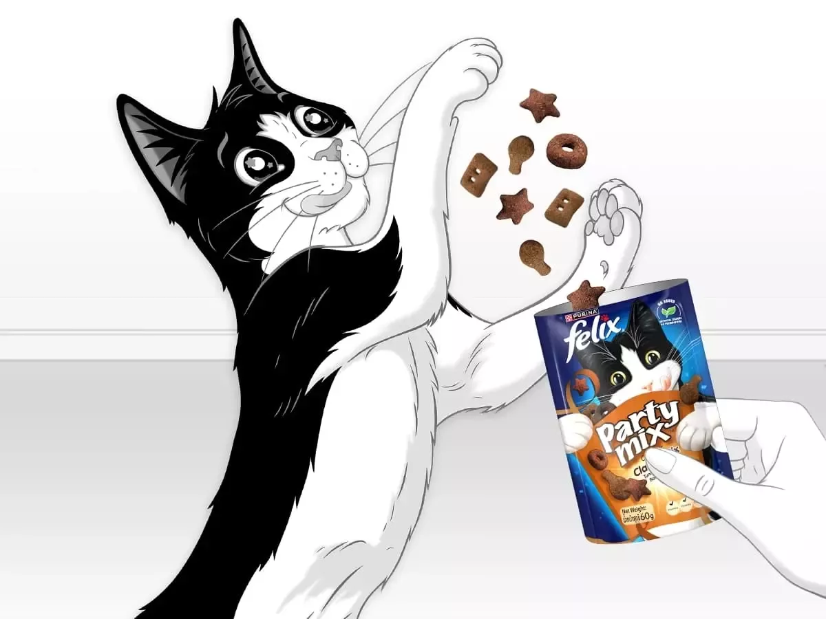 FELIX Party Mix