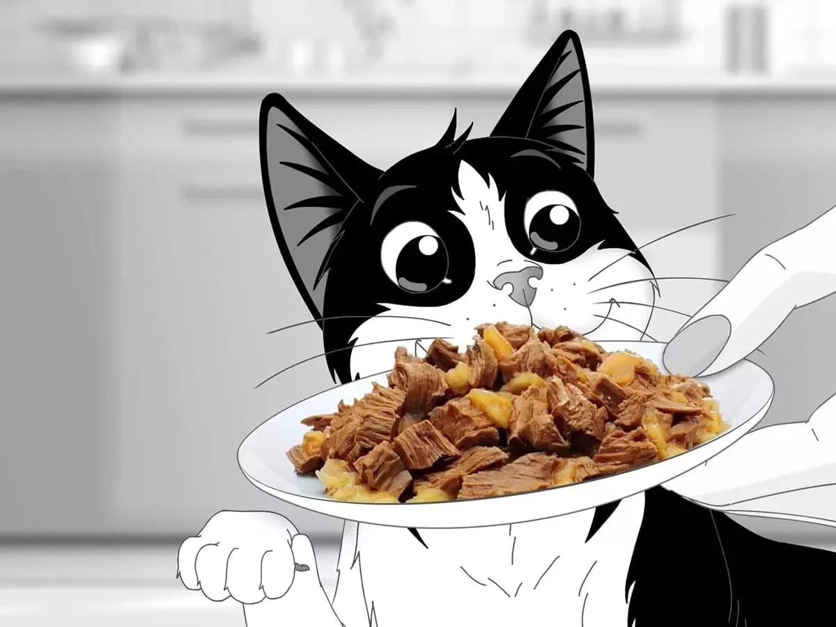 Felix Taste Card