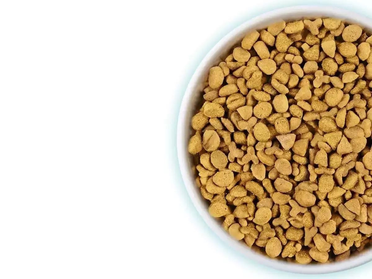 purina one cat dry food