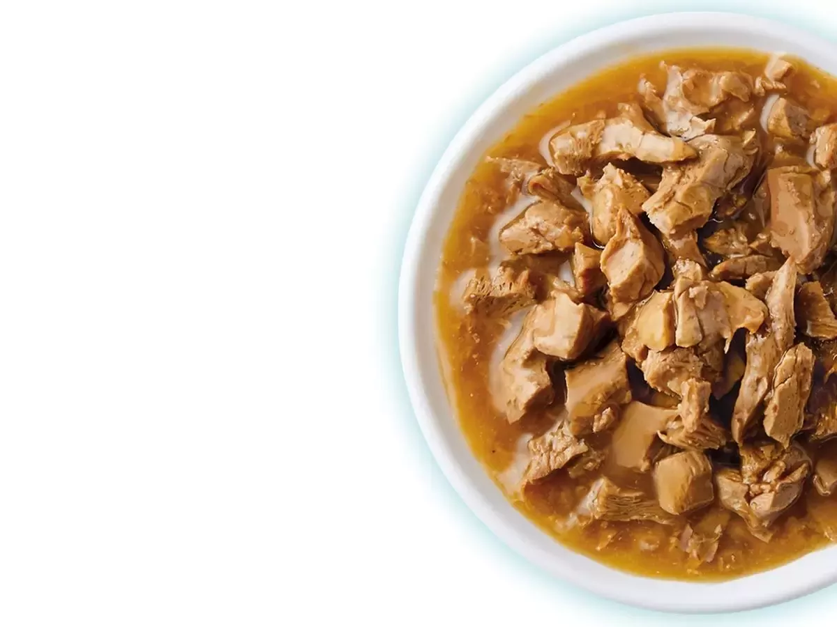 purina one cat wet food