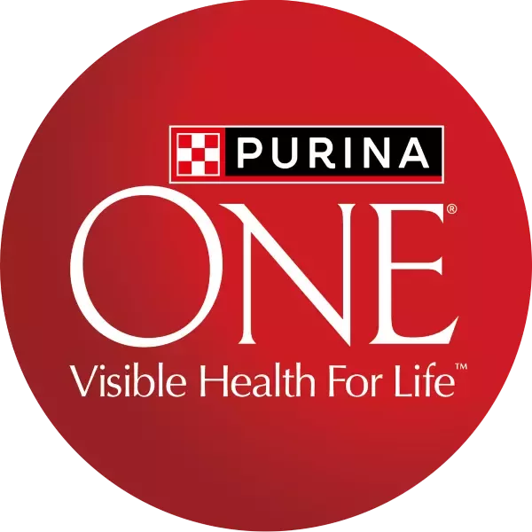 purina one dog logo