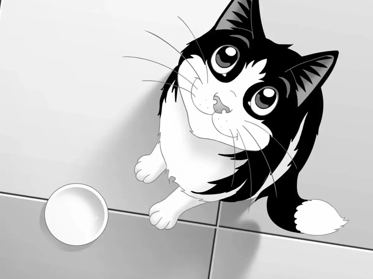 The Empty Bowl