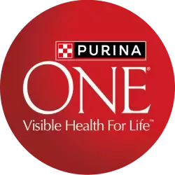 Purina One Dog Logo