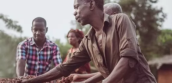kitkat 100 percent sustainable cocoa