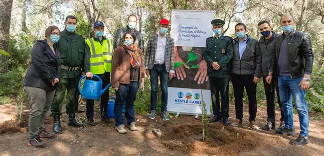 Algeria Planting tree