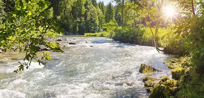 Nestle Waters Pledge