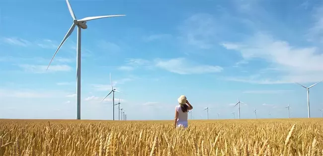 Nestlé joins over 150 corporations to call for a net-zero recovery from COVID-19