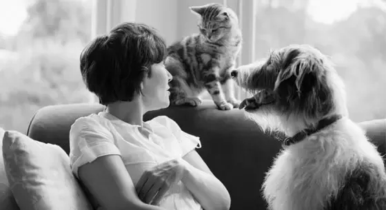 Nestlé Purina celebrates a decade of passion for pets