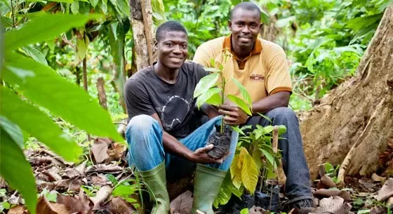 Nestlé sets out actions to address child labour in response to Fair Labor Association report on the company’s cocoa supply chain