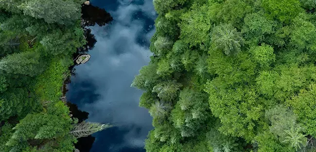 Nestlé moves beyond forest protection to a Forest Positive strategy and boosts its use of satellite services