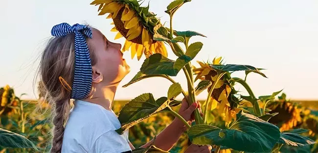 Nestlé tackles climate change: down to zero by 2050