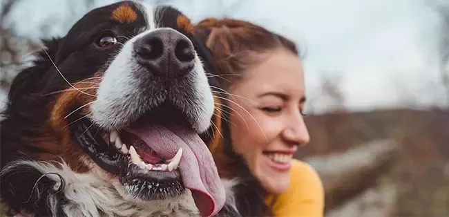 Purina &amp; Unleashed offer up to CHF 50,000 to startups with impactful innovations in pet care